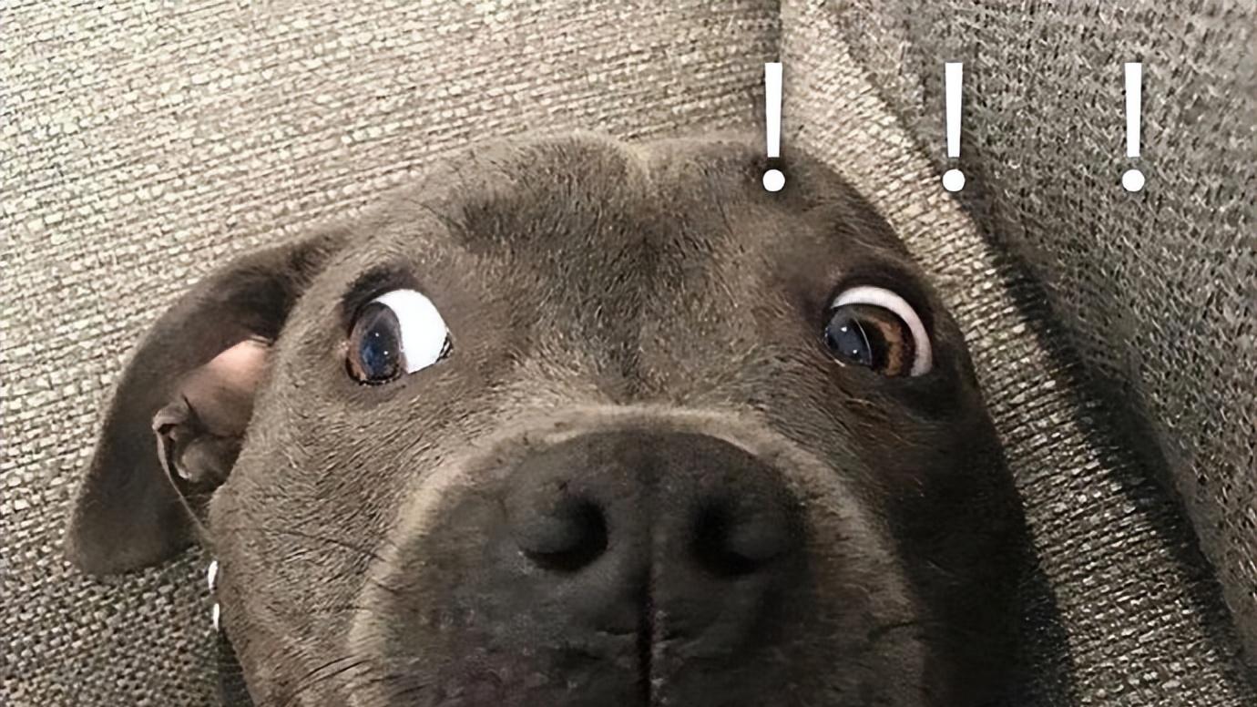 SLG游戏开始“反套路”! 《率土之滨》用1亿补贴，掀起SLG福利革新