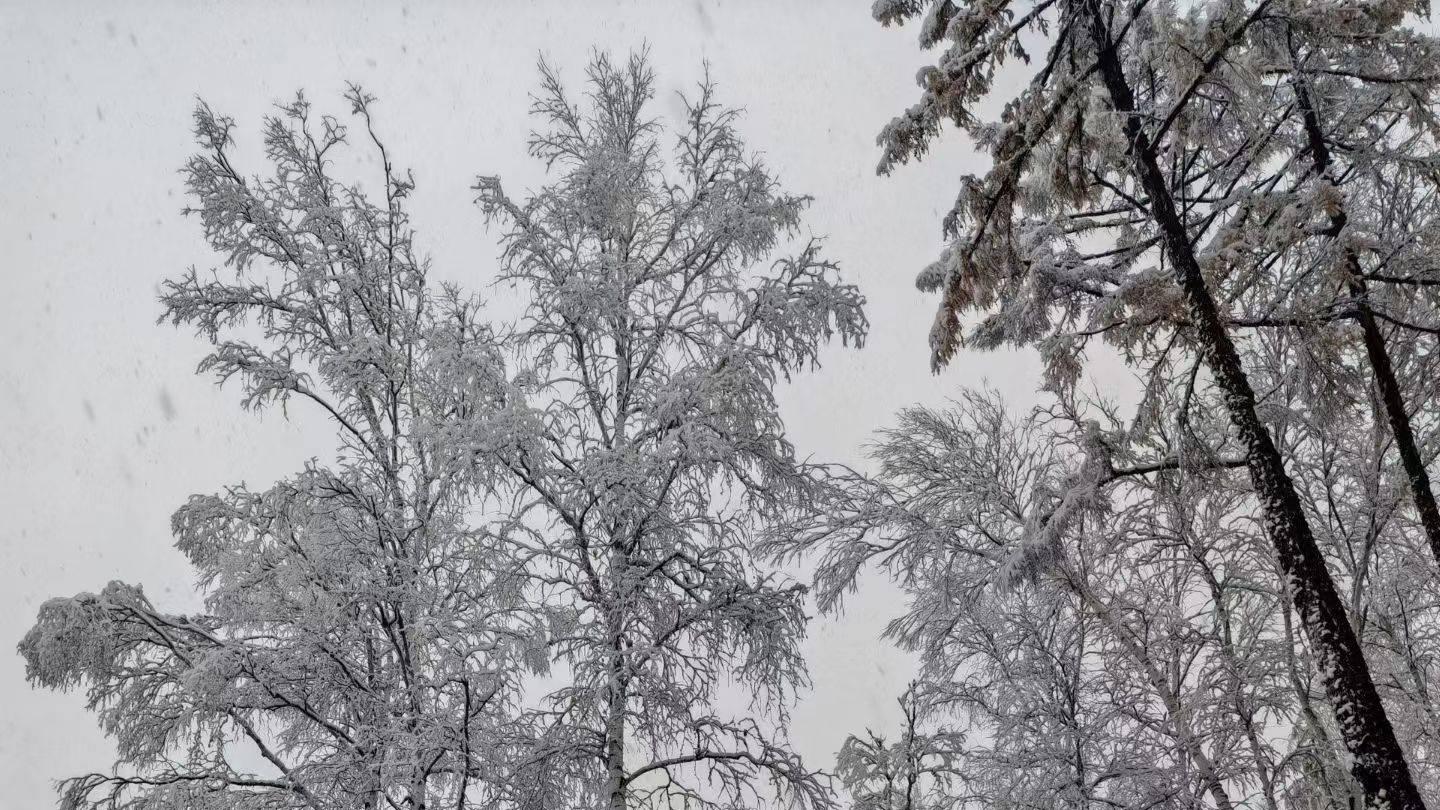 2025年10月7日漠河大雪，出游攻略