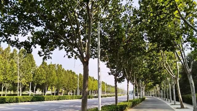 没自驱力的孩子，学习卡点在哪？读懂青春期孩子，家长才能帮对忙