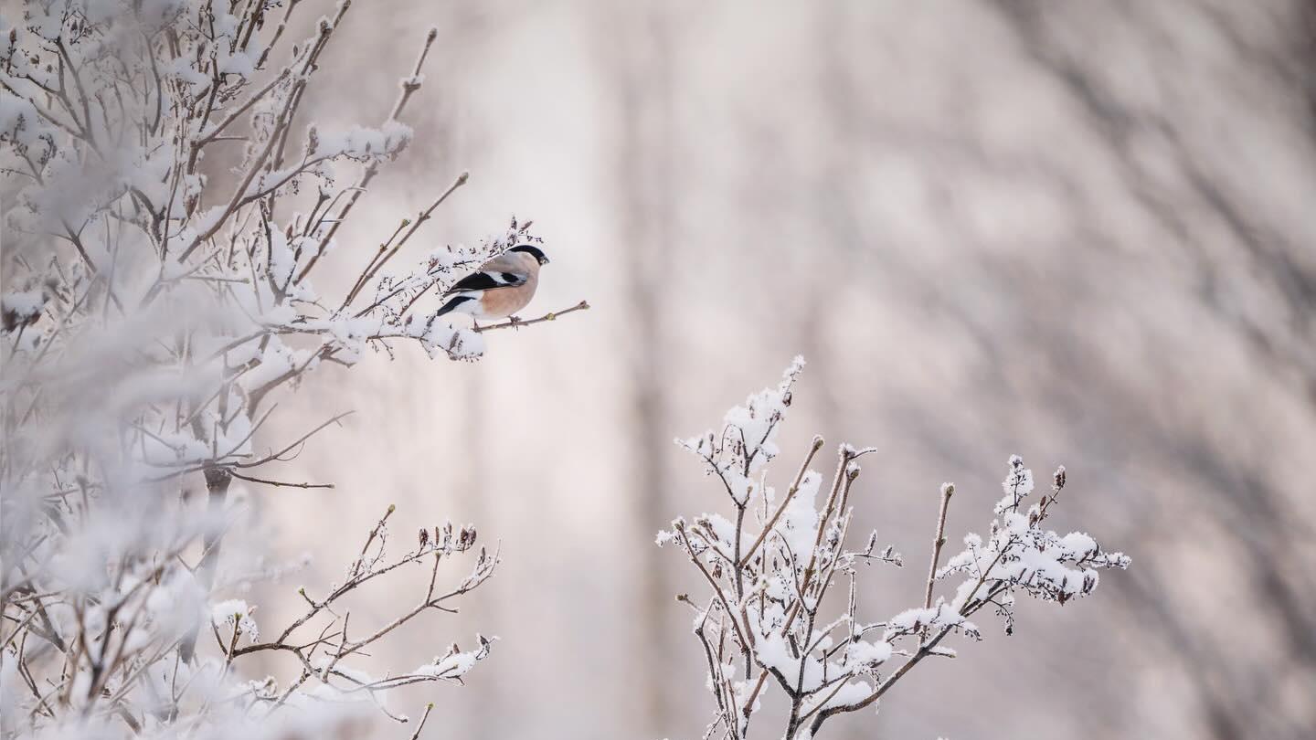 被掩盖的真相，AI时代的“幽灵工作”