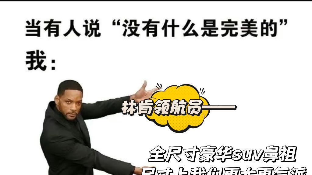 谁说没有完美？林肯领航员：请你看看我！