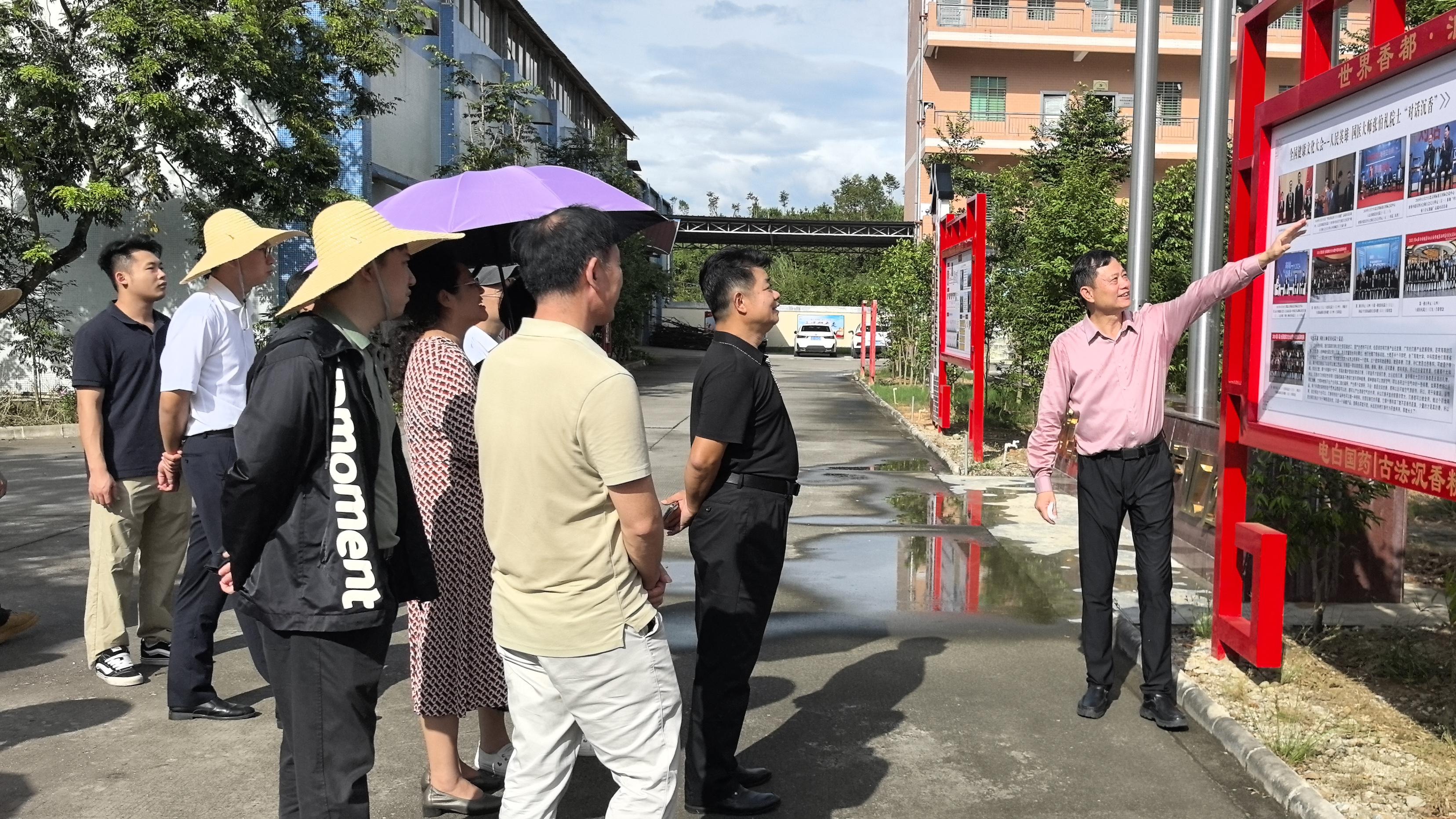 两岸香缘一线牵：电白沉香文化交流共绘产业融合新图景