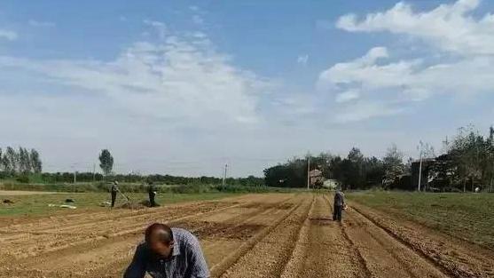 不靠堆肥，凭什么免耕就能改良土壤？