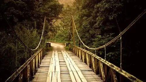 人生，这一生都是执念