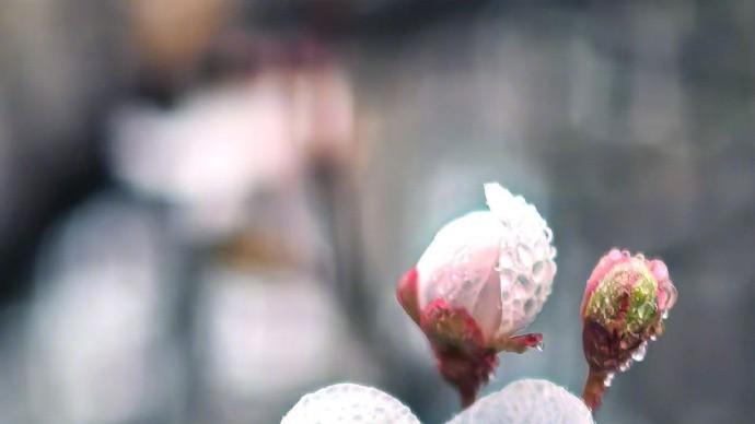 等等党的一年，双十一换机最后还是选了它！