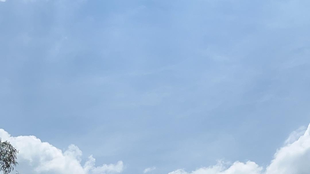 2026年每日通盛及各生肖运势1月6日