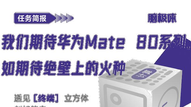 我们期待华为Mate 80系列，如期待绝壁上的火种