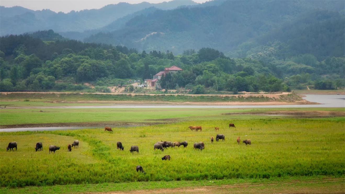 什么是社会？社会的本质是什么？为什么中国古代王朝更替那么频繁
