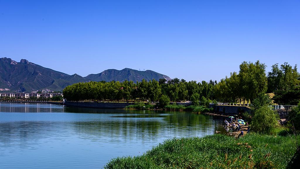 2025乙巳蛇年每日通盛及各生肖运势12月24日