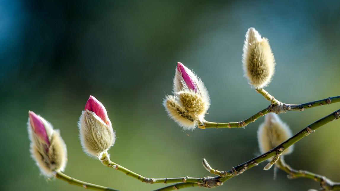 嫉妒你的人如何生恶？这样做，你轻松赢过他们