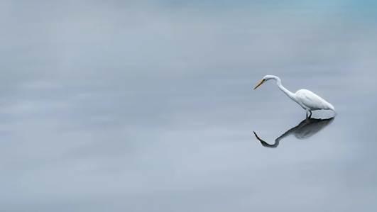 水体‘绿潮’从何而来？看懂水质磷酸盐标准限值