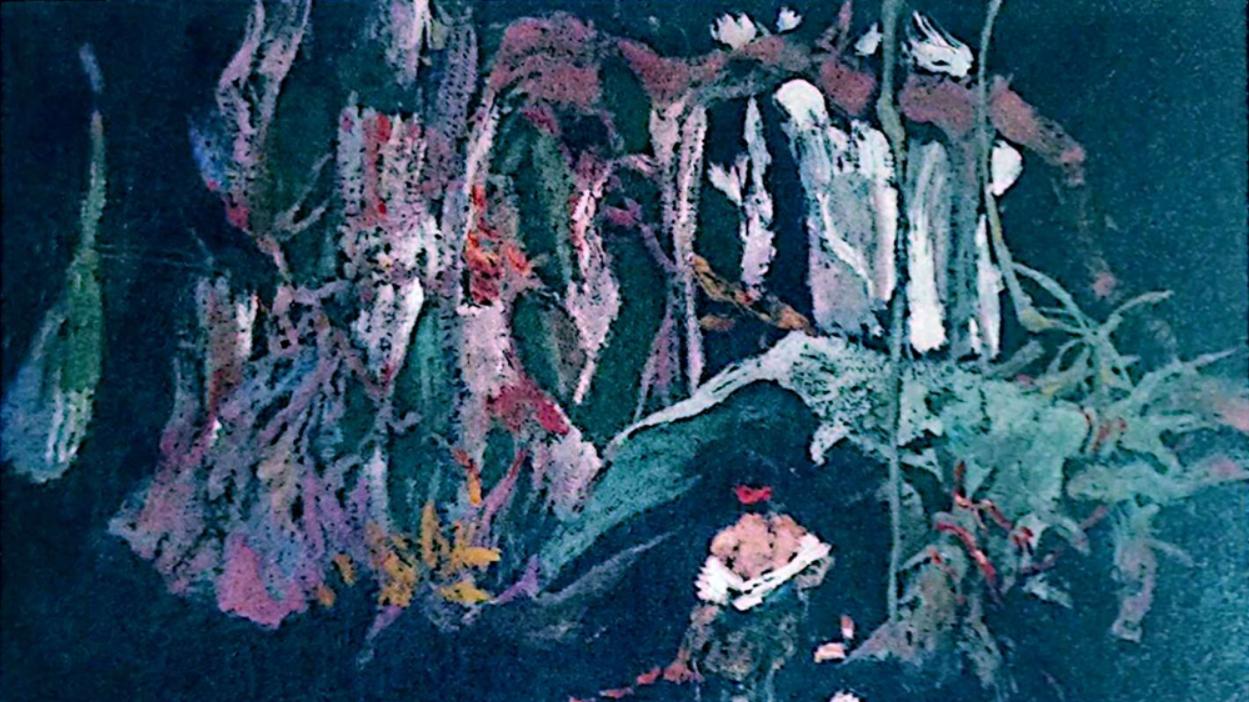 巫师与毒药：海地的“还魂尸”之谜