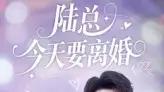 《陆总今天要离婚》精彩全集