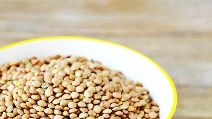 扁豆育苗覆膜规范，追肥防病两手抓，藤架整齐长势旺