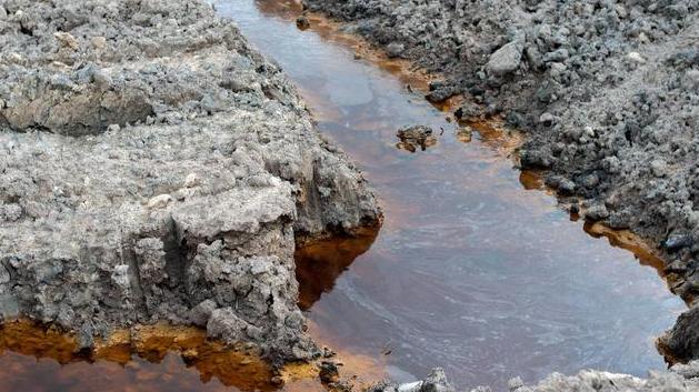 怎么检测土壤中的重金属