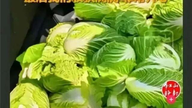 赤峰百人“零元购”白菜：谁在给无耻的哄抢行为递刀子？