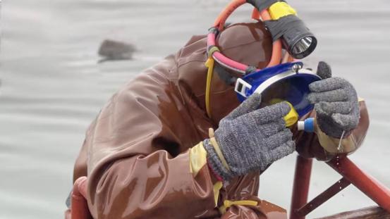 冬捕号子响彻长海县，珍品岛海参迎来一年中最忙碌的收获季