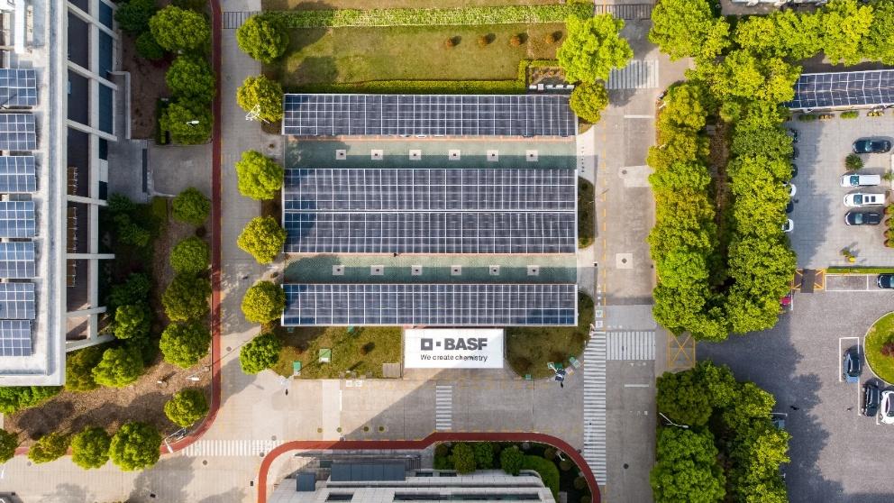 巴斯夫的中国考题：绿色未来的破局之道