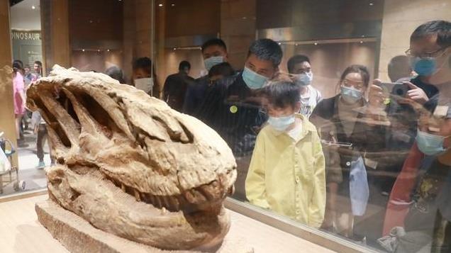 为什么人类存在30万年的时间，却在最近12000年前才开始耕种