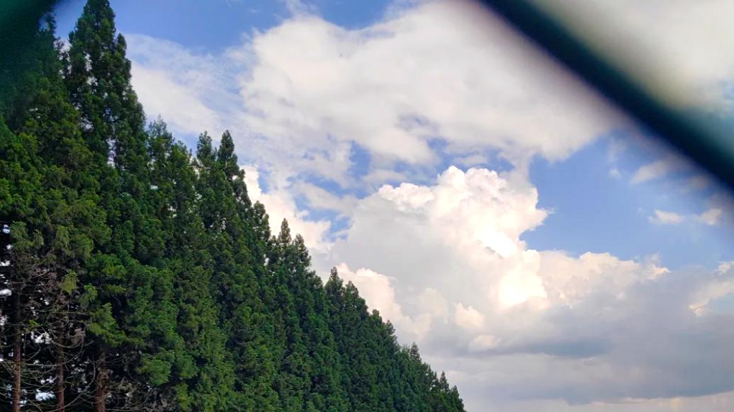 方向盘转呀转，载着端午回家看看