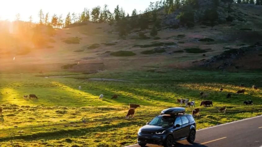 妻子出轨董事长后我自驾逃离，半路遇见的人，竟是董事长前秘书！