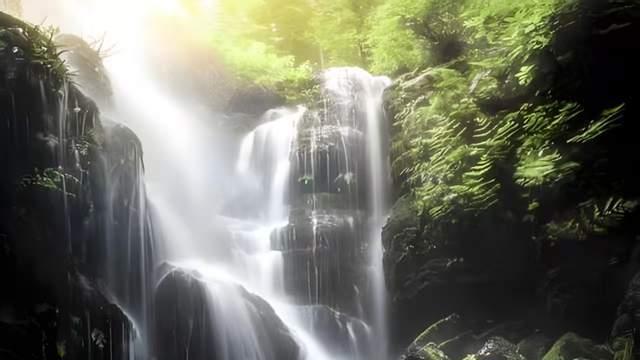 二零二四年（第15辑）