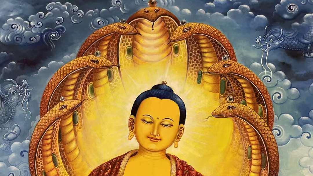 活在当下：佛教禅修的核心智慧与日常实践