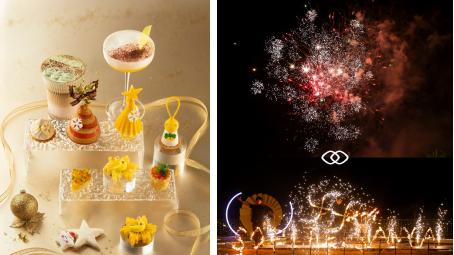 三亚理文索菲特度假酒店法式艺术圣诞亮灯仪式暨周年庆客户答谢会圆满落幕