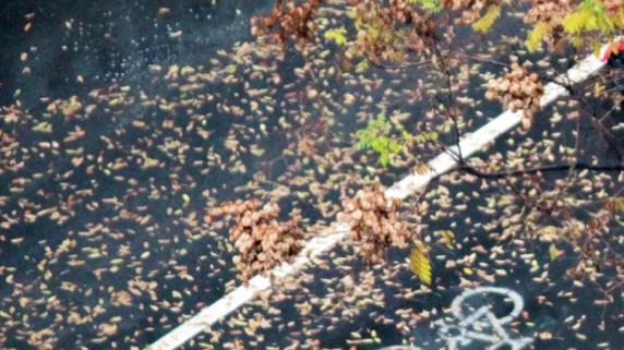 降温体验唯品会，被羽绒服折扣圈粉了
