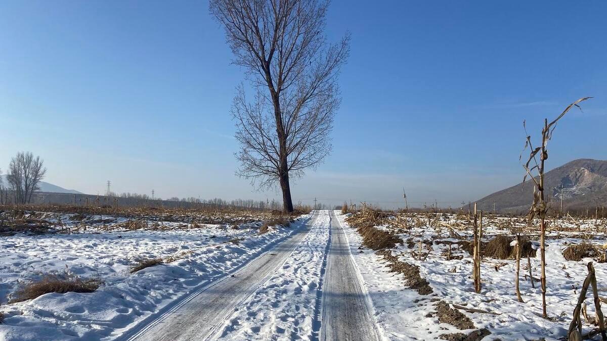 回乡扫墓遇大雪，大哥的一条信息让我泪流满面