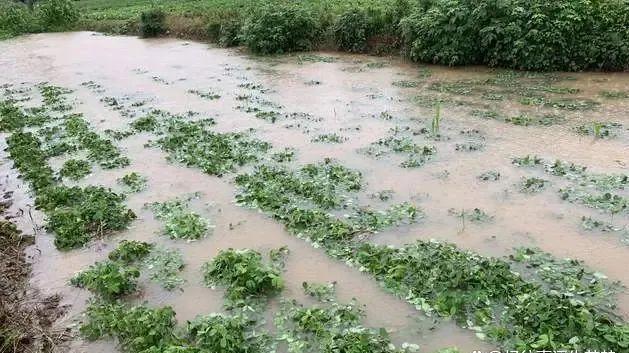 老话“三月怕廿九”，今日三月廿九，究竟怕什么呢？看农谚咋说