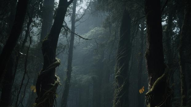 古代四大流放地今何在？看看有没有你的家乡