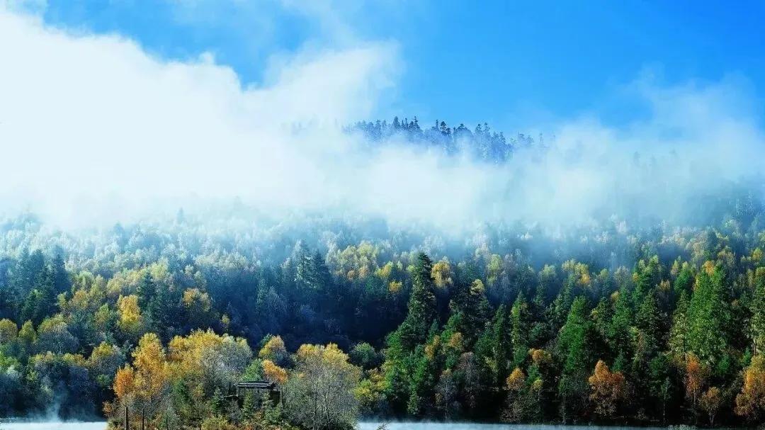 香格里拉国家公园候选区生态环境持续向好