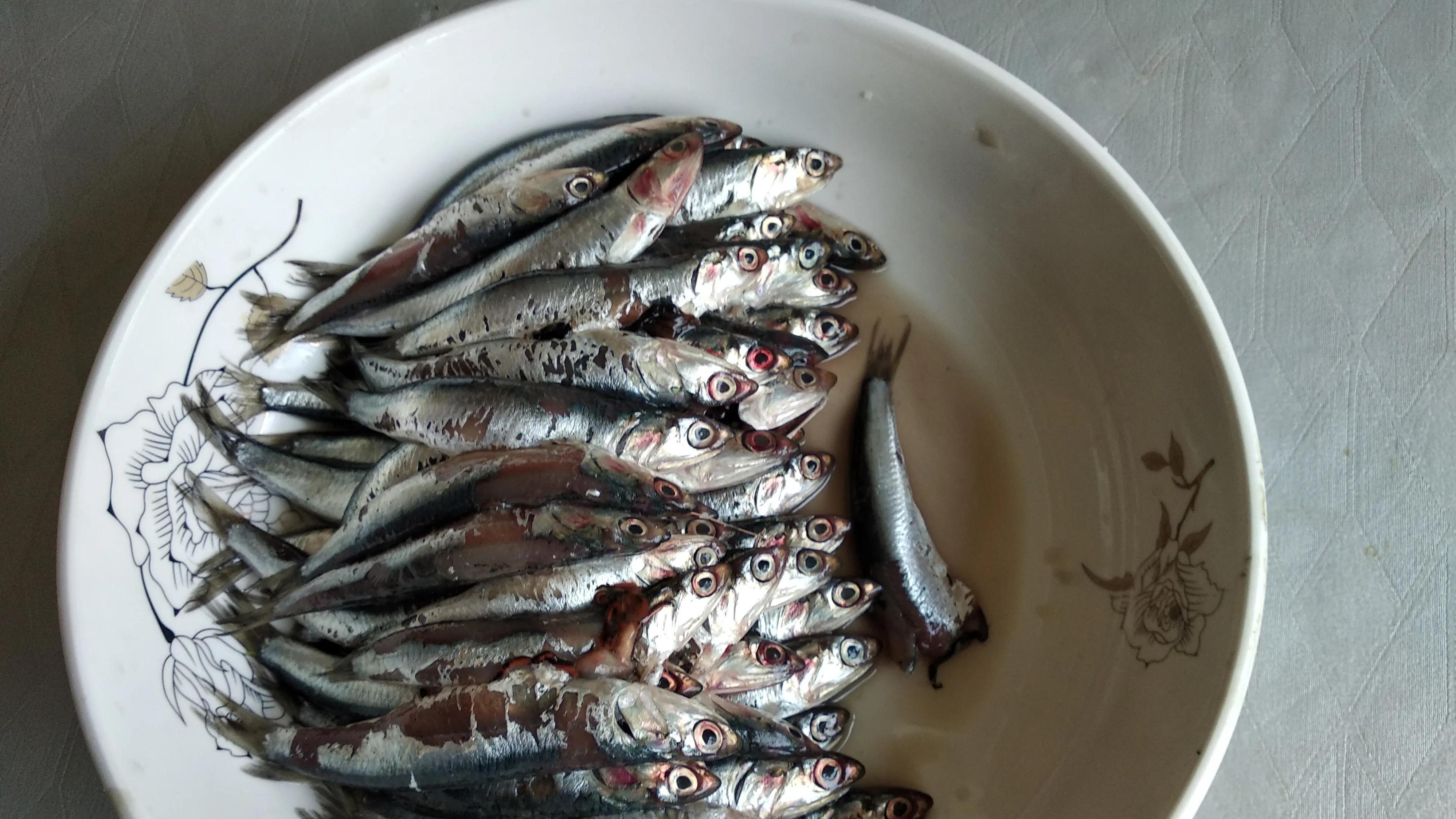 5种传说中最难吃的海鲜，前3种全吃过的人都不简单，你试过啥？