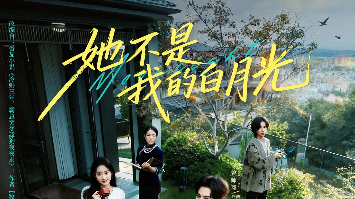 11.16短剧疯批日！重生复仇+脑洞甜宠，部部爽剧熬夜追不完！