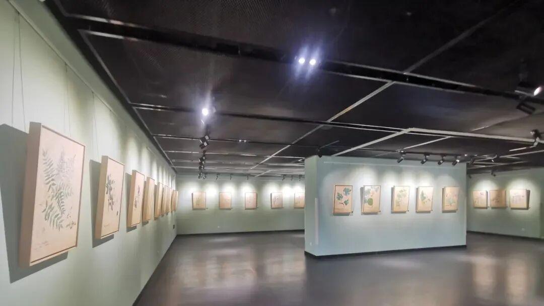 张育金画家——国画大家李可染入室弟子