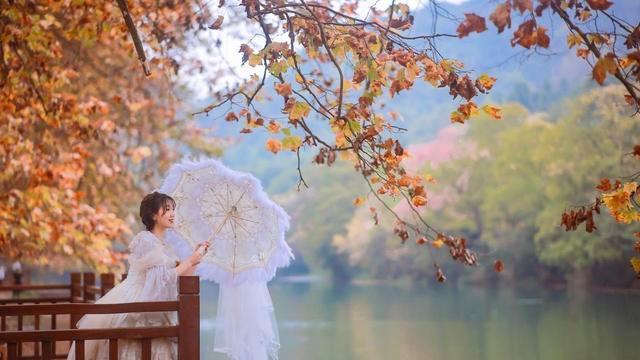 人到中年，突然莫名就开窍了