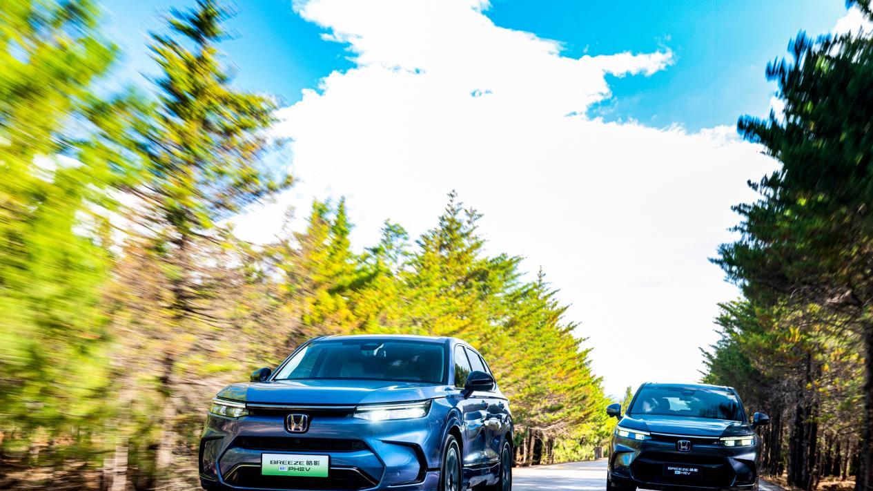 别再为节假日开车破防！皓影凭这三点月销万还圈粉无数