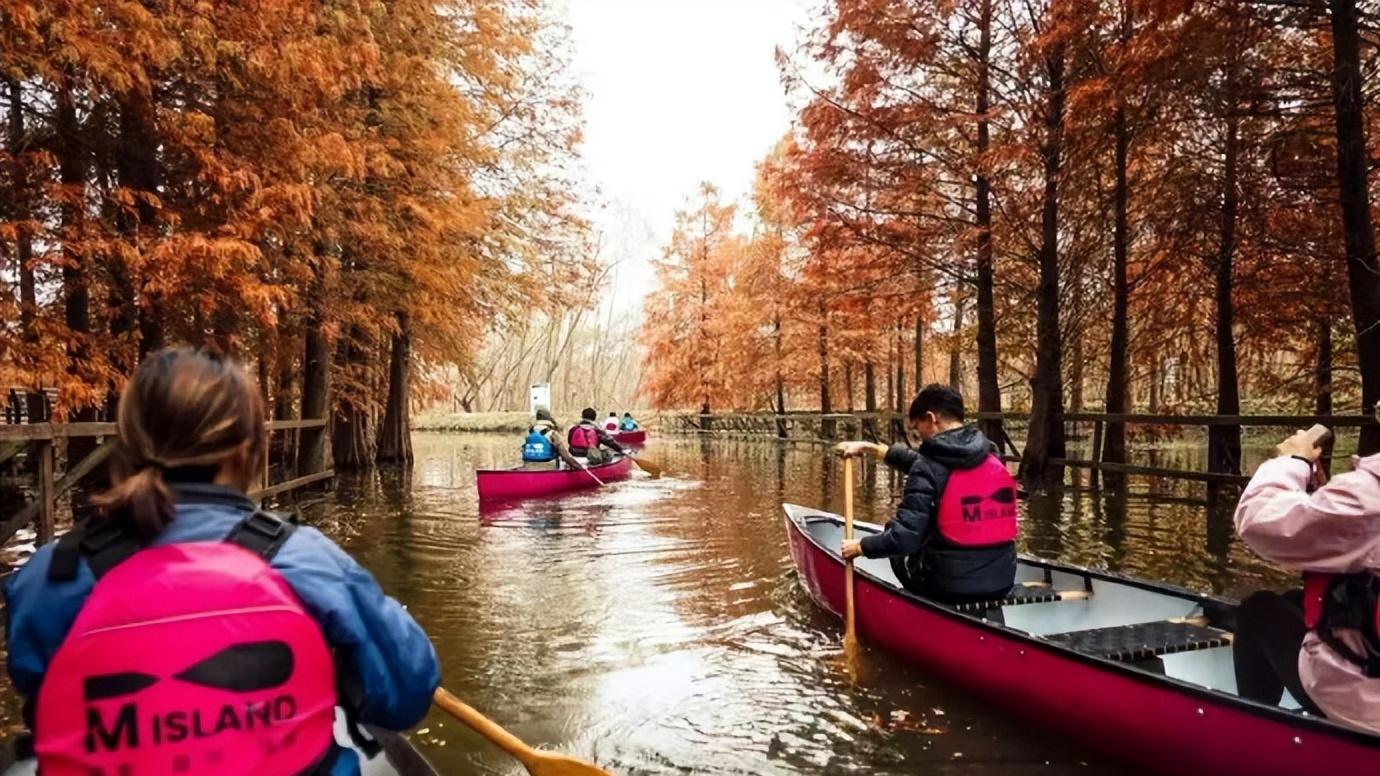 崇明西沙湿地：画中秘境，出片好时节