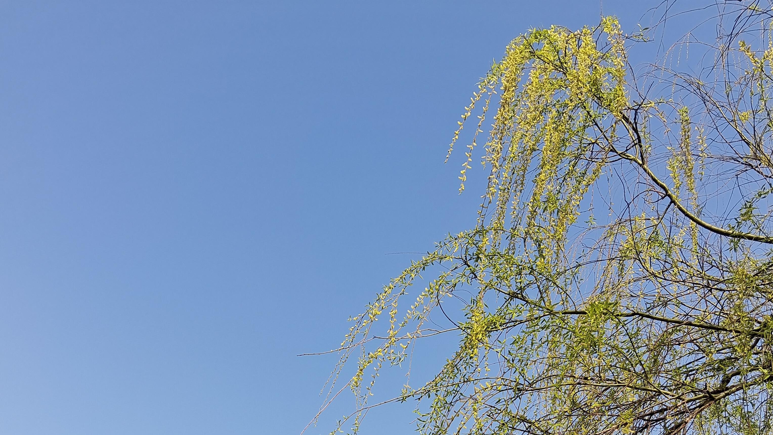 婆婆的善良是“刻在骨子里”的，那些付出的人最后都收获了什么？