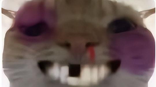 率土把玩家黑历史拍成短剧 十年长寿的秘诀全靠玩家创造经典