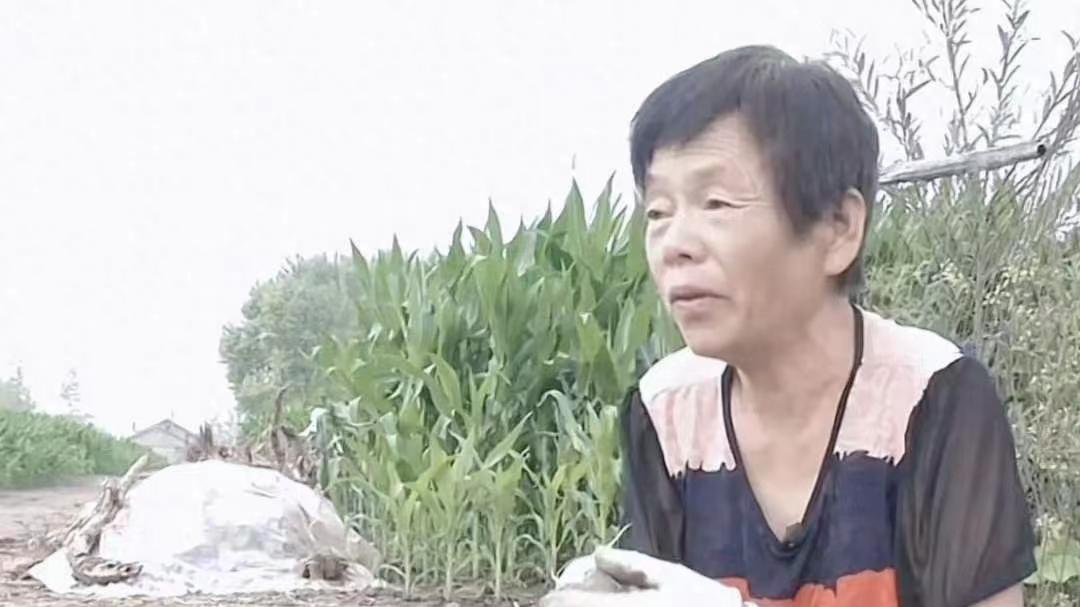 月入过万养驴大爷求偶记：3万彩礼同居，56岁大妈会答应吗？