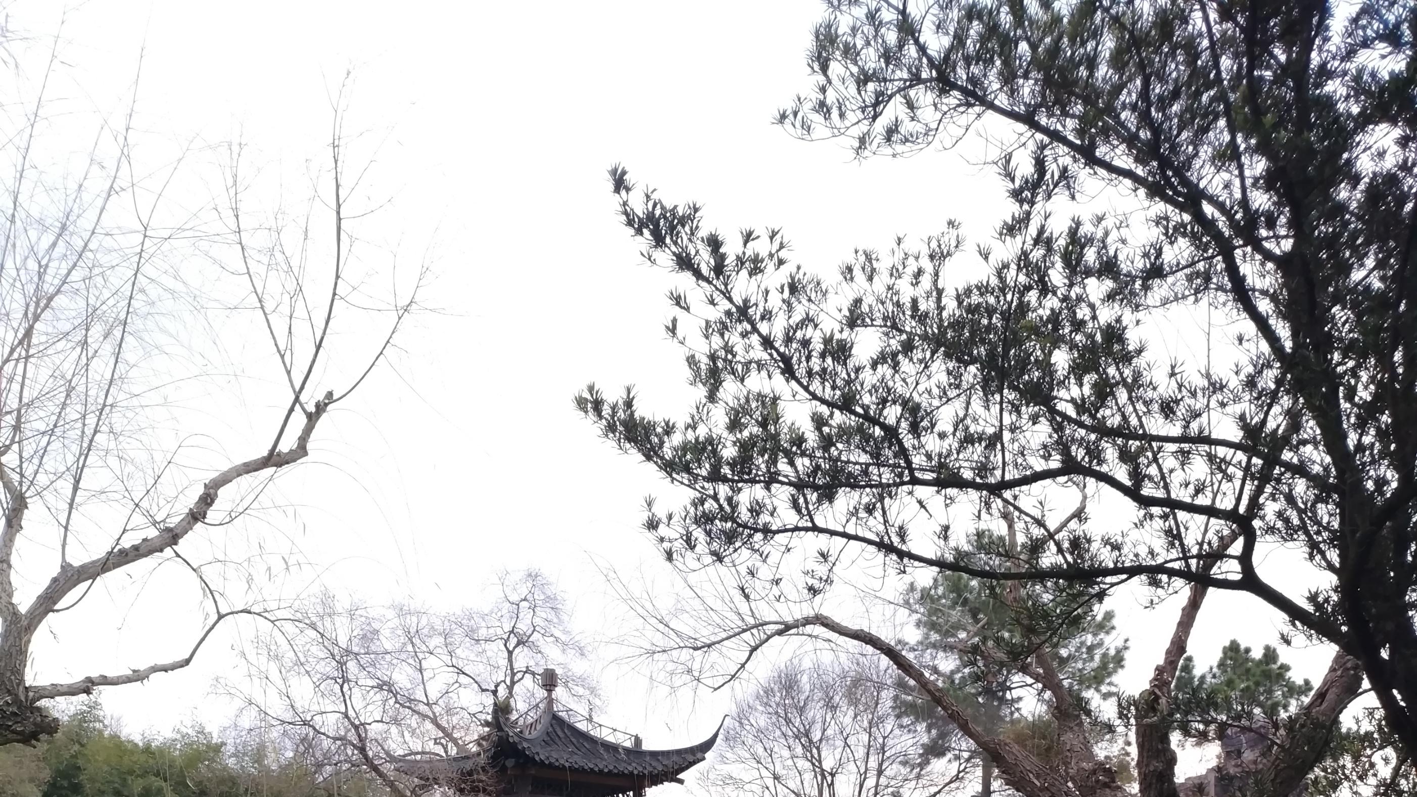 一个人的闲逛，其实相当不错