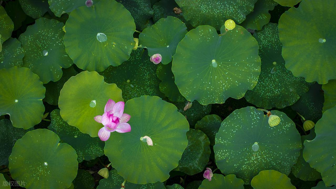 为什么男人相亲，都着急要确认关系？