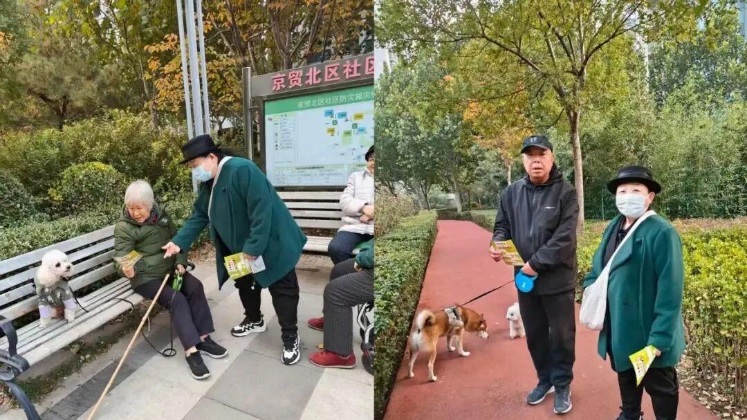 “银发”“少年”共建文明养犬美景