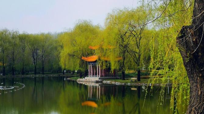 四月的序章｜让我们在时光的褶皱里邂逅春天