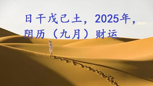 日干戊己土，2025乙巳年，阴历（九月）财运