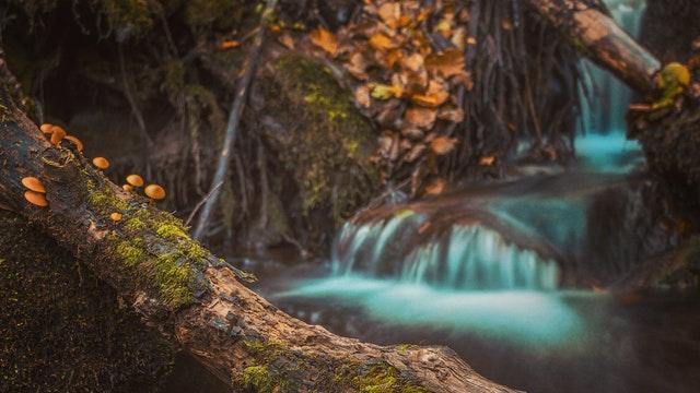 撕破脸！康熙身世瓜吵到互撕拉黑：是封建大女主觉醒，还是践踏历史的民族亵渎？