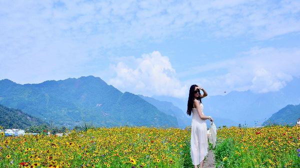 人至中年，若觉人生被困，请读懂《肖申克的救赎》这3层境界