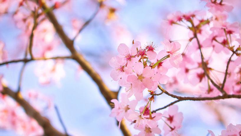 夫妻过日子，这3样东西一断，基本就散伙了！